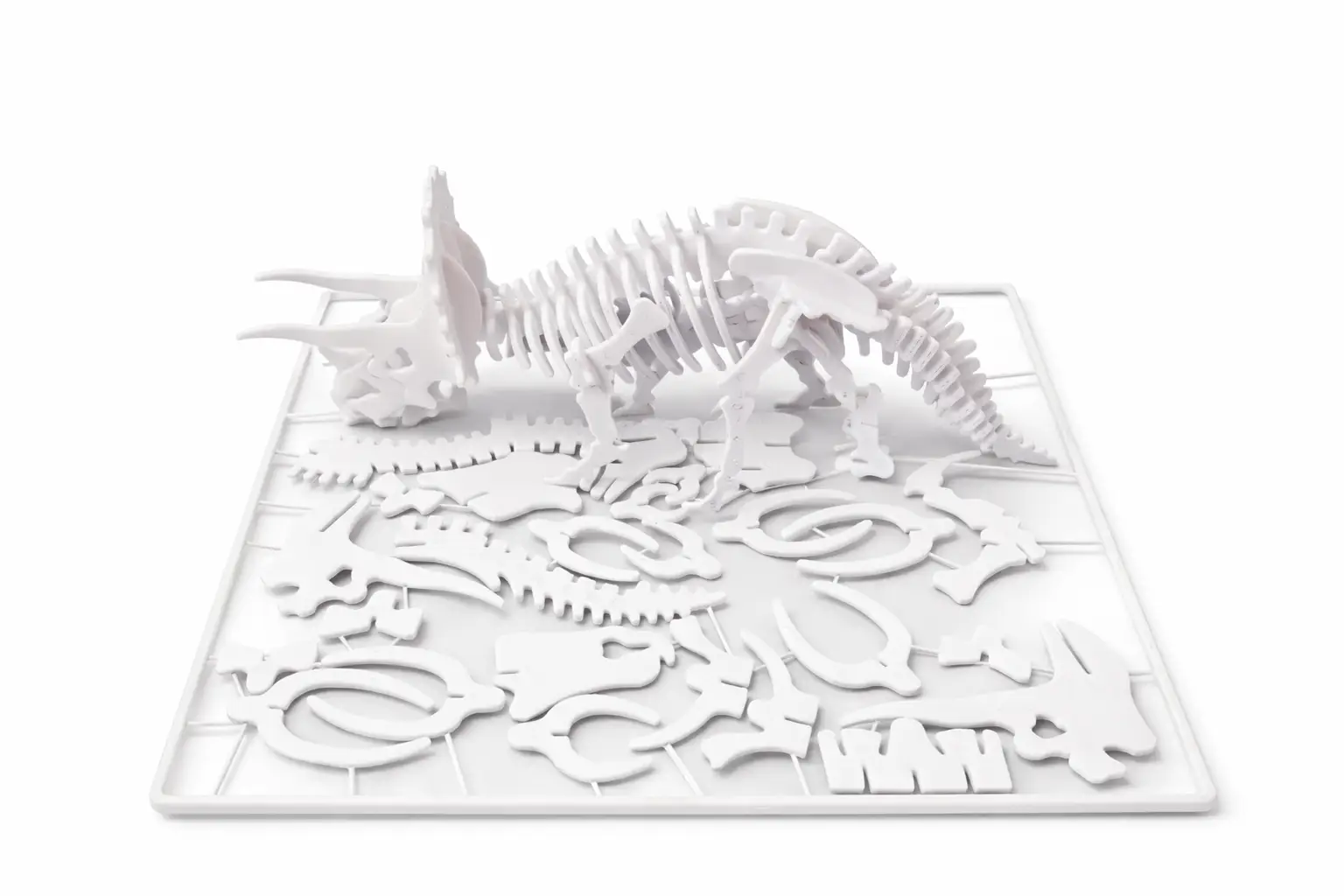 بطاقة تركيب هيكل ديناصور "ترايسيراتوبس" (Triceratops Kit Card) - أحفورة ثلاثية الأبعاد بطاقة تركيب هيكل ديناصور "ترايسيراتوبس" (Triceratops Kit Card) - أحفورة ثلاثية الأبعاد