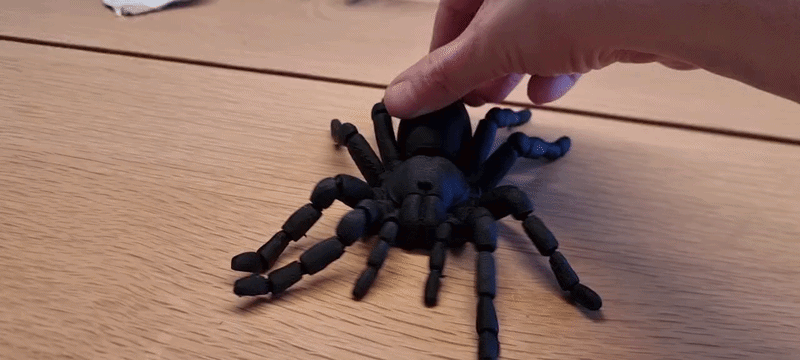 عنكبوت رتيلاء متحرك