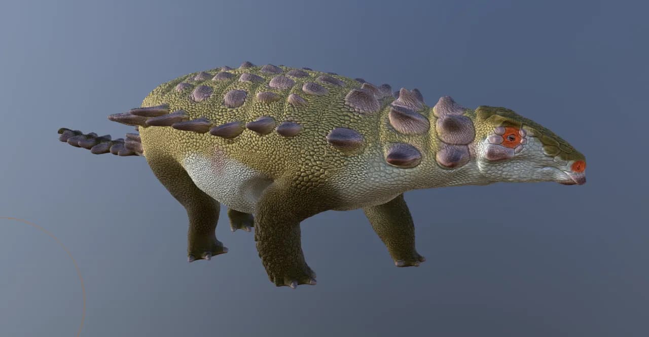 مجسم سيداربلتا