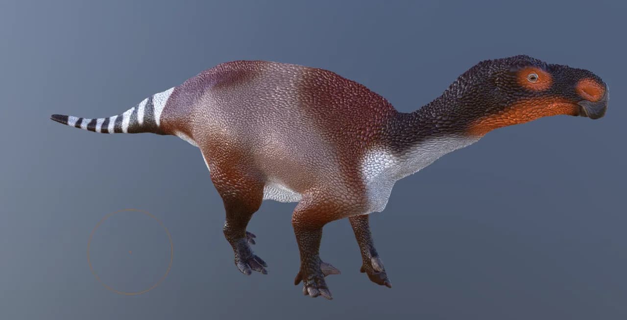 مجسم مانتيليصور