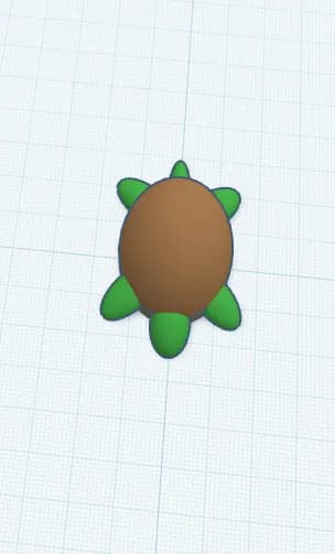 سلحفاة بسيطة