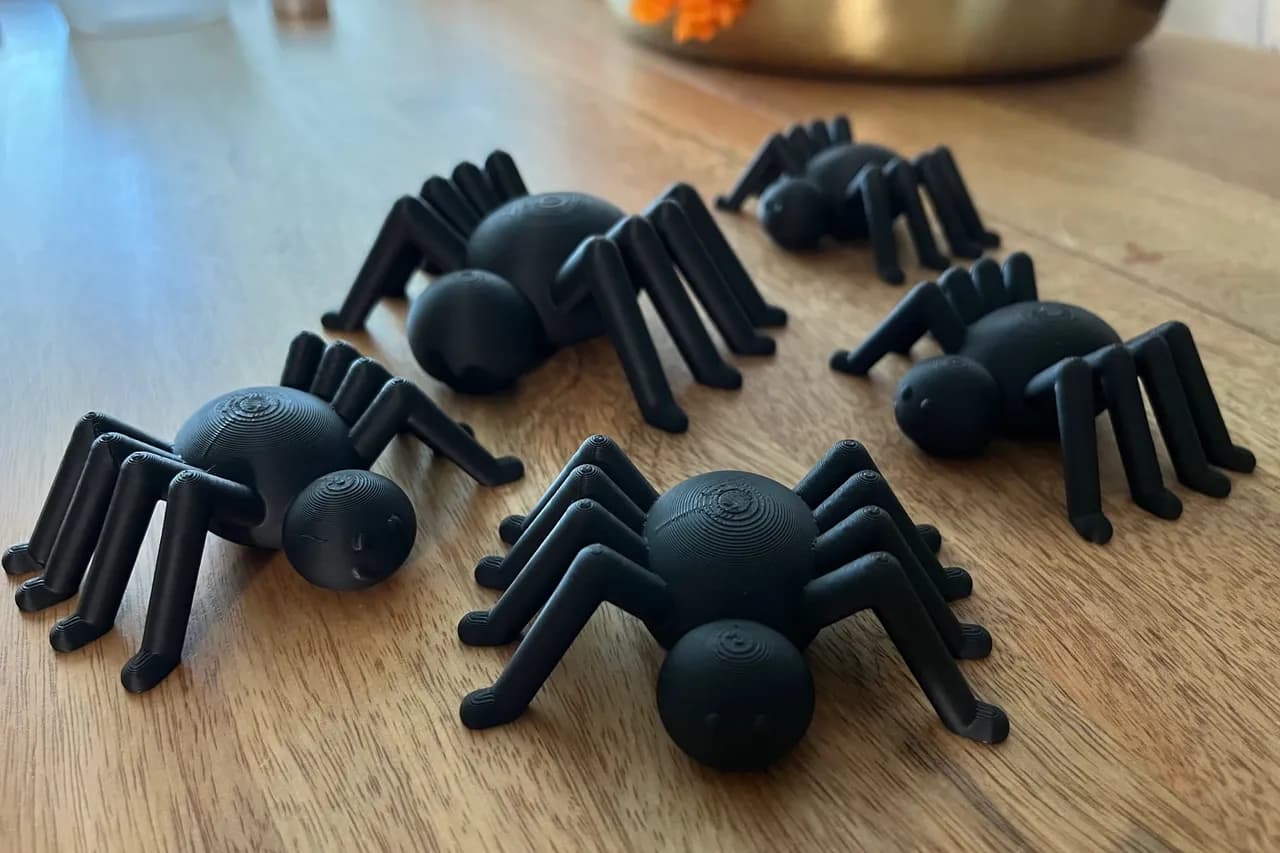 عنكبوت - نموذج مفصلي