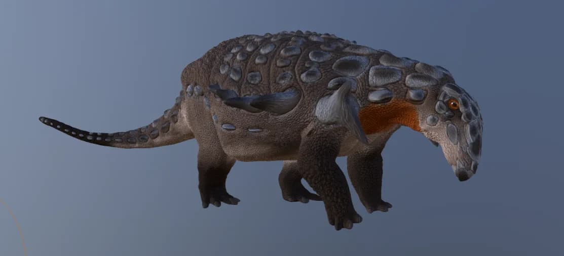 مجسم إدمونتونيا - المراجعة الثالثة