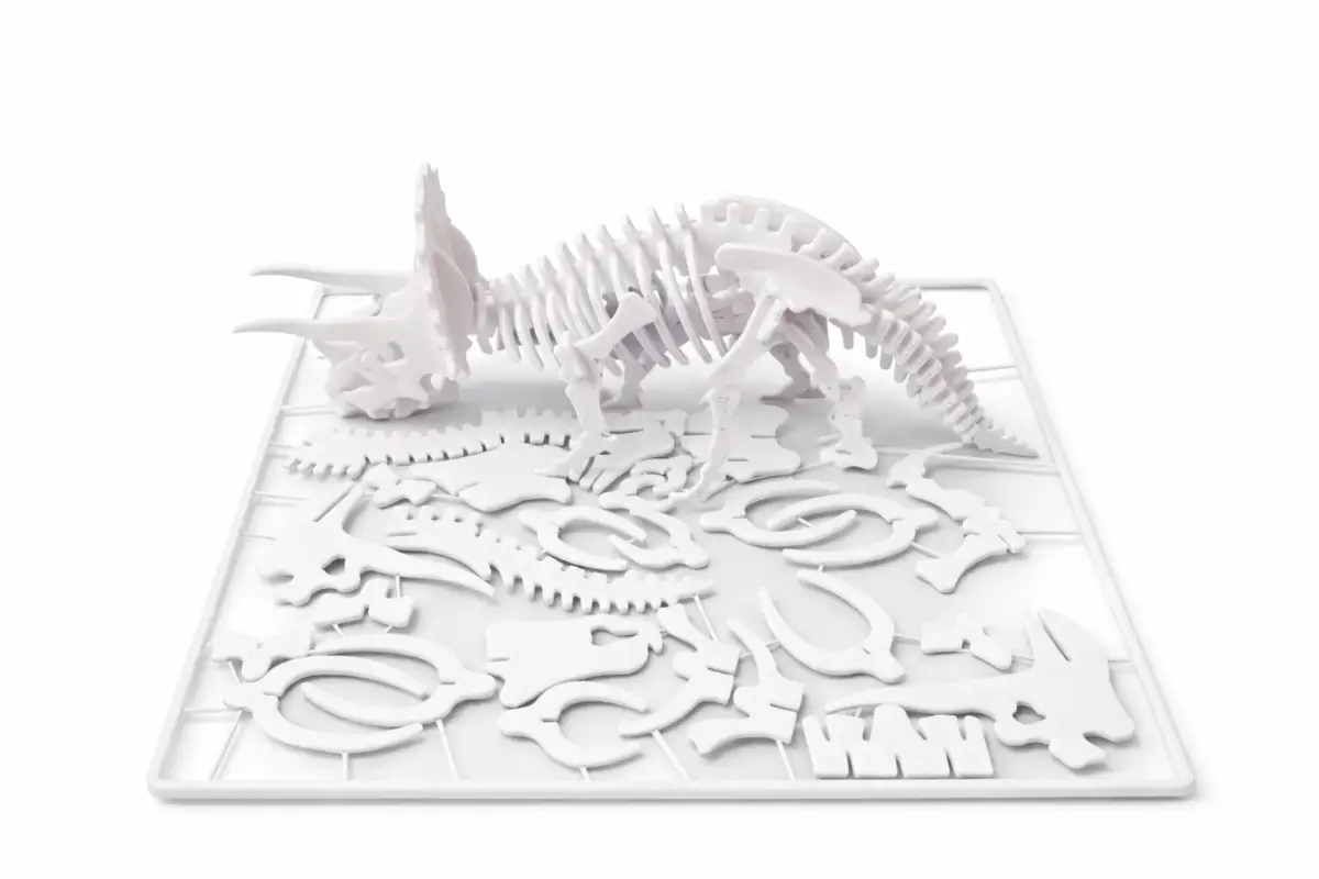 بطاقة تركيب هيكل ديناصور "ترايسيراتوبس" (Triceratops Kit Card) - أحفورة ثلاثية الأبعاد
