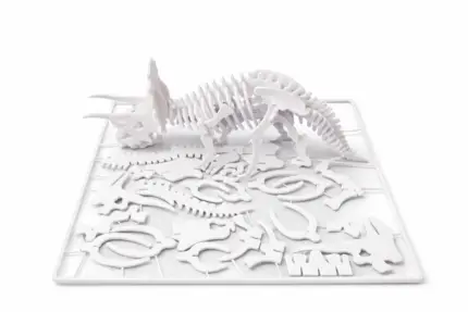بطاقة تركيب هيكل ديناصور "ترايسيراتوبس" (Triceratops Kit Card) - أحفورة ثلاثية الأبعاد